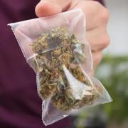 A bag of cannabis. File photo.