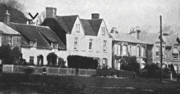 Although photographed at a much later period, this Edwardian image of Sophia’s IW birthplace and childhood home shows the cottage in near original condition — its sloping thatched roof a prominent feature. Picture by Adrian Searle.