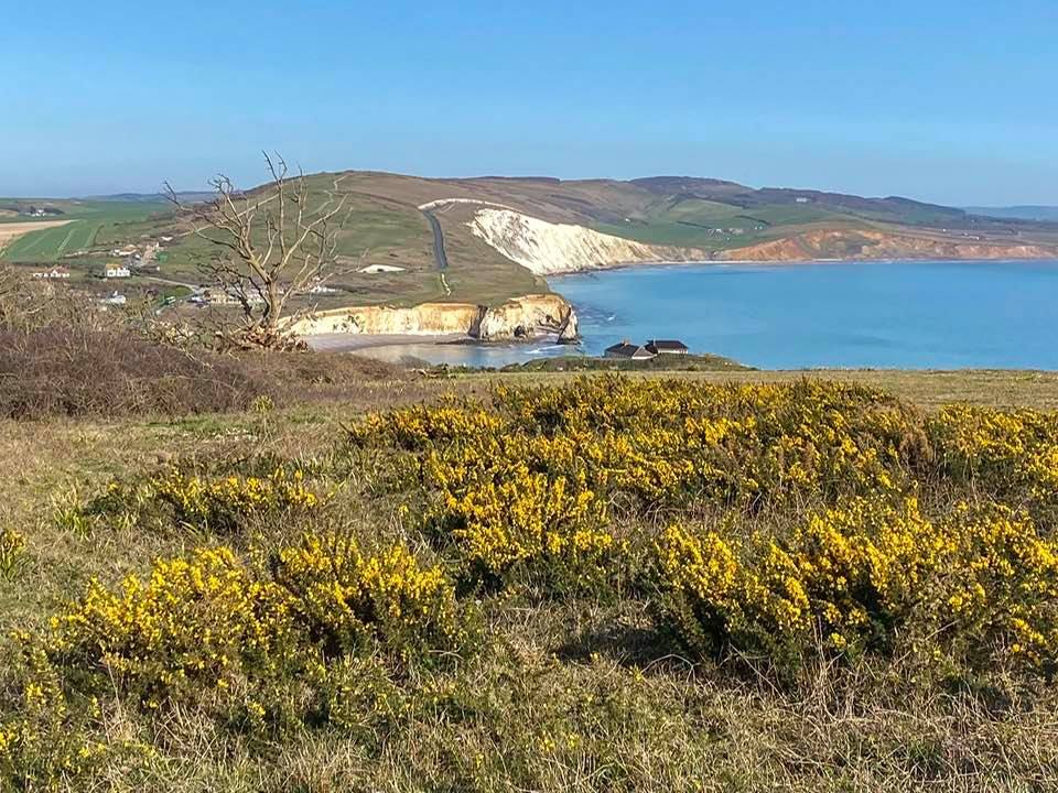 Freshwater Bay From Tennyson Down. By Pamela Parker.