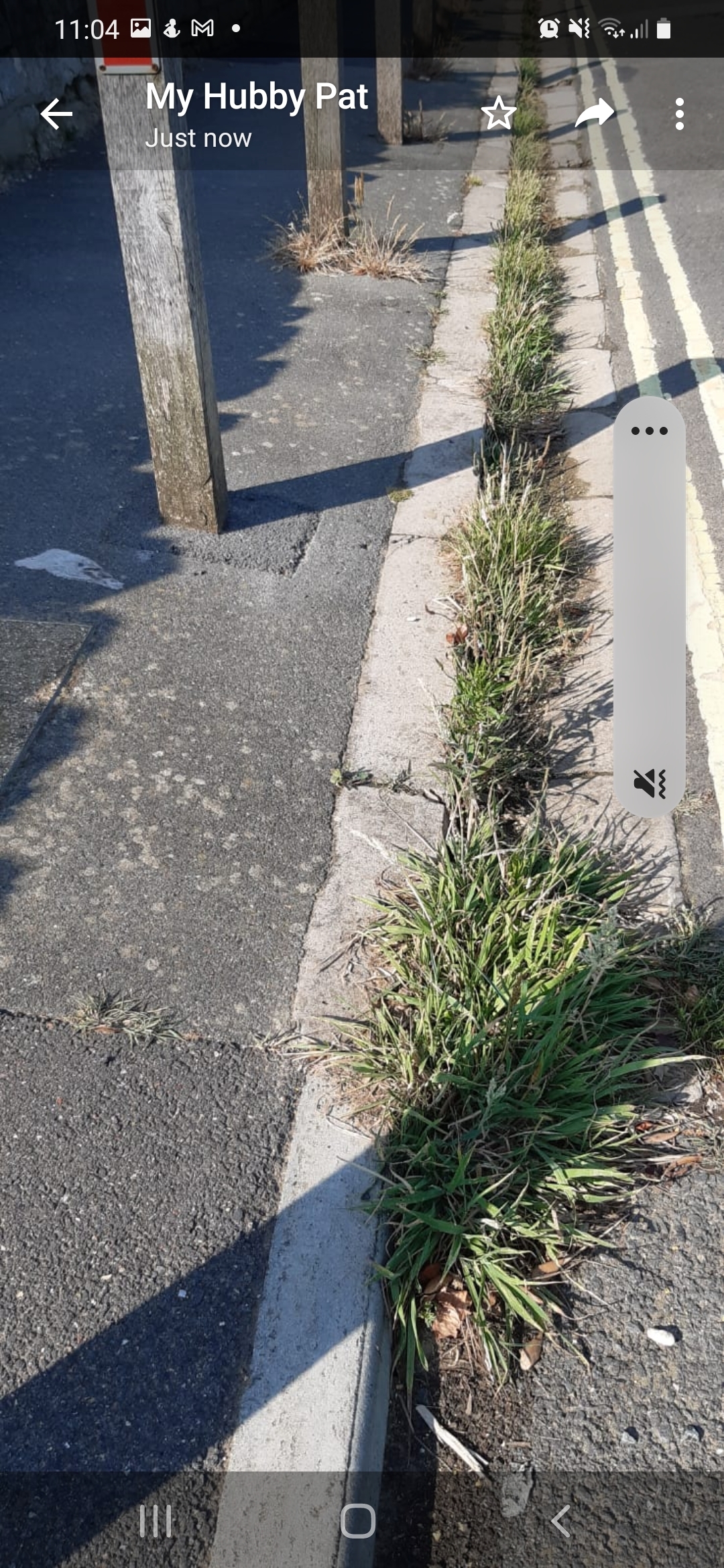 Lake road as bad as Cowes for scruffy appearance | Isle of Wight County Press - Vimarsana News