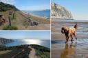 Your favourite Isle of Wight dog walks.