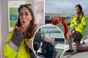 Wightlink ferry's Fern goes viral on TikTok.