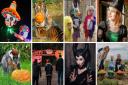Your GUIDE to Halloween events on the Isle of Wight 2023