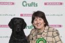 Curly-coated Retriever Goose at Crufts 2018 alongside his East Cowes owner Belinda Millichamp.