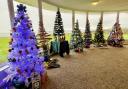 Brighstone Christmas Tree Festival 2021 at Isle of Wight Pearl. Pictures by Pamela Parker.