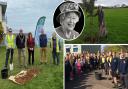 The Queen's Green Canopy has been extended and  and Isle of Wight residents are being urged to plant a tree in memory of the Queen.
