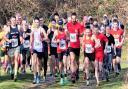 The start of the Isle of Wight Cross Country Championships.
