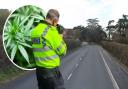 Island driver caught speeding while over cannabis limit despite interim ban