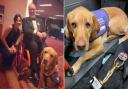 Jonathon and best friend Baxter win at the 2023 Soldiering On Awards
