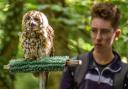 The Falconry Experience formally known as the Haven Falconry Bird of Prey Centre