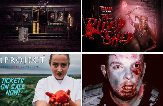 Clockwise from top left, Terror Island at Blackgng Chine, a scene from Park fo the Dead (courtesy of the event's Facebook page), Scare Maze at Tapnell Farm, and Fright Night at IW Steam Railway.