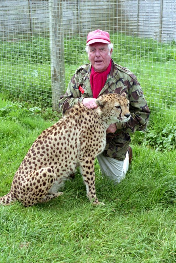 Isle of Wight County Press: Jack Corney, with Flash the Cheetah at Sandown Zoo (Zoo IW).  Photo: IWCP Archives.  07/05/1998 9805 * 2066 Neg.  No. 33
