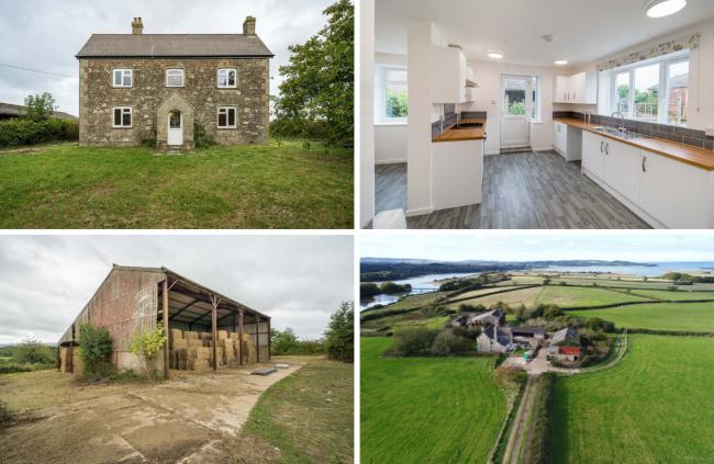 Lambsleaze Farm, near Porchfield, is available to rent on a 15-year Farm Business Tenancy.