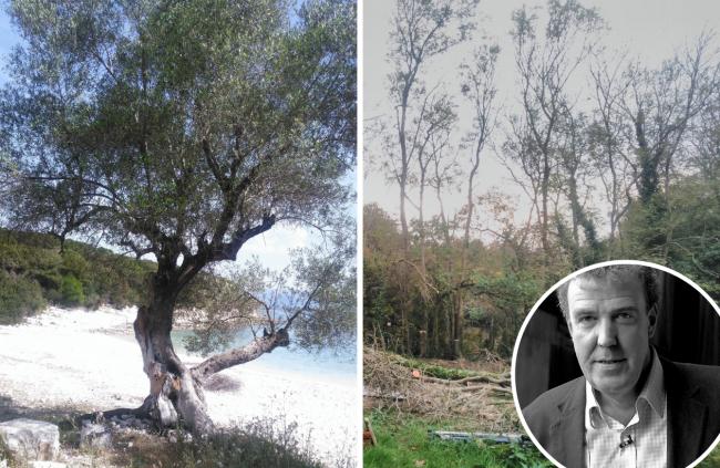 Jeremy Clarkson has been highlighting the dangers of importing trees and plants from abroad.