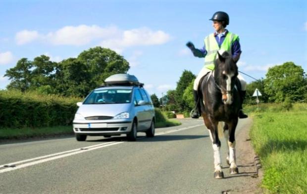Isle of Wight County Press: Drivers ned to be more wary of horse riders. Photo: Department of Transport