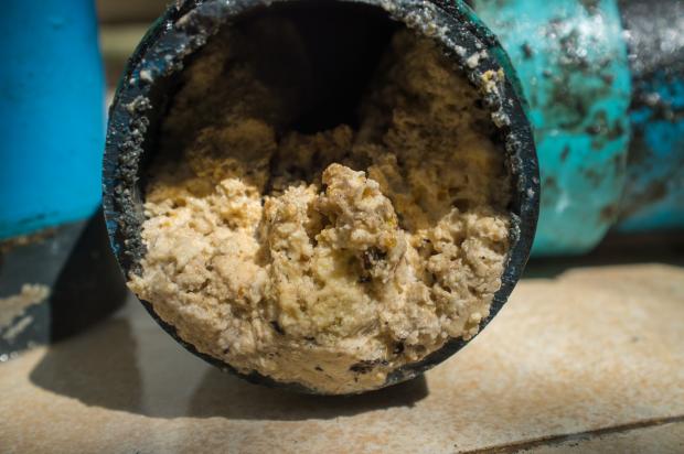 Isle of Wight County Press: Fat can harden in the pipes 