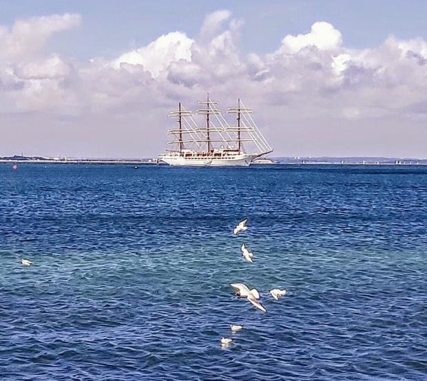 Isle of Wight County Press: Sea Cloud Spirit anchored off East Cowes. Photo by Karen Tyler of the Isle of Wight County Press Camera Club.