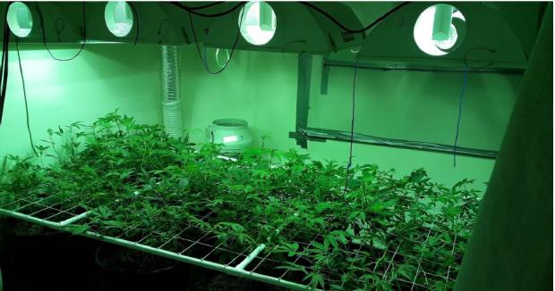 Isle of Wight County Press: The cannabis factory at Sivyour's address