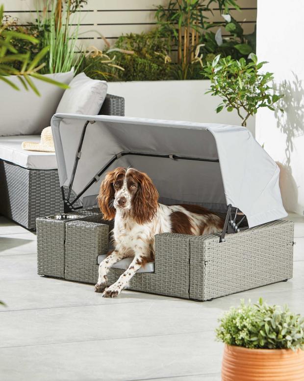 Isle of Wight County Press: Pet Collection Dog Rattan Lounger (Aldi)