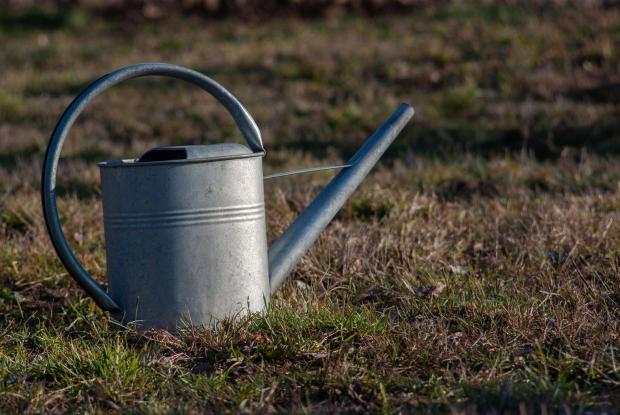 Isle of Wight County Press: Watering can sitting on the grass. Credit: PA