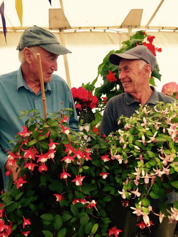 Isle of Wight County Press: Battling it out in the horticultural marquee are John Pearce and Keith Brewer.
