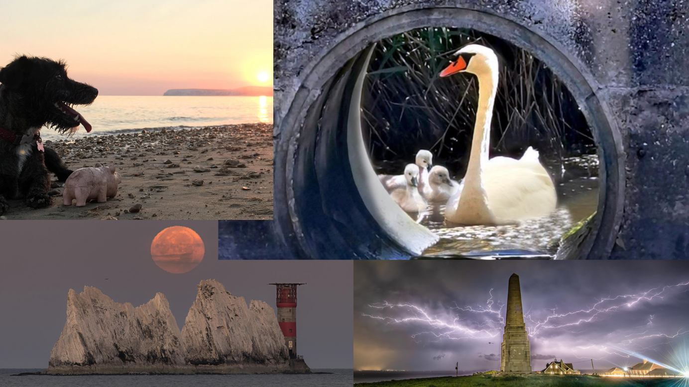 Isle of Wight County Press Camera Club Big 50 competition winners - Vimarsana News