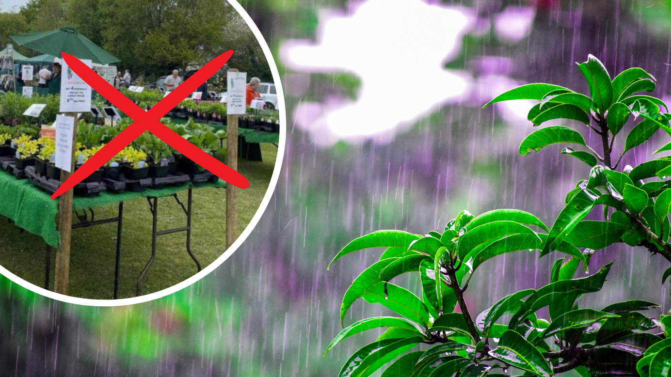 Rain forces cancellation of Isle of Wight Gardening Galore | Isle of Wight County Press - Vimarsana News