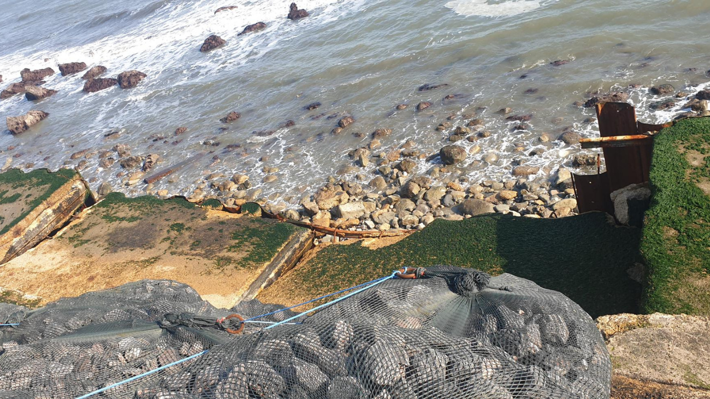 Popular Isle of Wight seafront walkway collapses further | Isle of Wight County Press - Vimarsana News