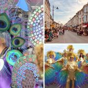 Previous carnival entries on the Isle of Wight.