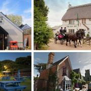Tripadvisor's best rated Isle of Wight pubs with beer gardens (Photos: Trip Advisor/Google).
