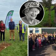 The Queen's Green Canopy has been extended and  and Isle of Wight residents are being urged to plant a tree in memory of the Queen.