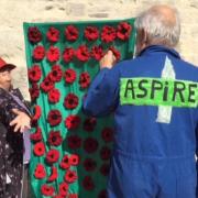 Volunteers have knitted lots of poppies for Remembrance Day.