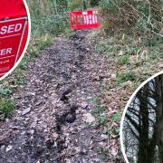 Do not enter East Cowes woodland after dangerous landslip