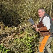 New venue for 28th Isle of Wight Hedgelaying Competition