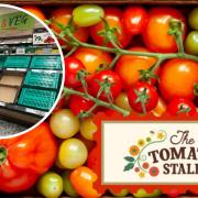 Isle of Wight Tomatoes comments amid UK tomato shortage