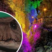 Isle of Wight tourist attraction, Shanklin Chine, is welcoming some scary new residents.