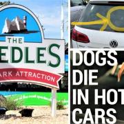 Outrage at a top Island tourist attraction as dog owners leave their pet dog in a hot car while they go to the beach.