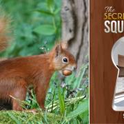 Island author’s new story raises funds for red squirrel charity
