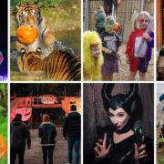 Your GUIDE to Halloween events on the Isle of Wight 2023