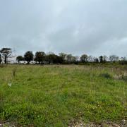 The land at Whippingham Technology Park which could be built on.