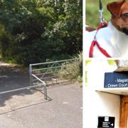 A man carried out a sexual assault and lewd acts on a popular cycle track.