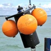 A fish tracker belonging to the University of Plymouth.