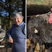Penny and Nigel Smith of Hermitage Dairy Farm, left, and Anna Smith of Compton Farm, right.