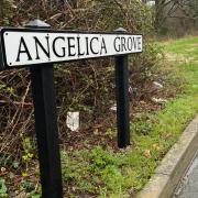 Angelica Grove, Newport, where an arrest was made.