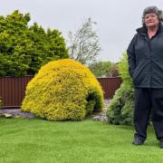 Val Starbuck from Wroxall has been left with a "sinking" garden.