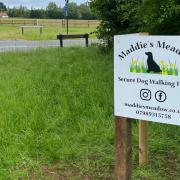 Maddie's Meadow opens tomorrow.