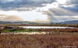 Brading Marshes captured in 2021 by Chris Orchin Photography.