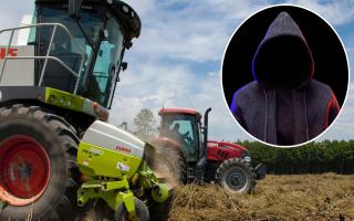 Fake adverts sending angry fraud victims to unsuspecting Island farmers