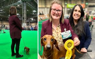Todd the Dachshund, with co-owners Louise Rippon and Charlotte Ratsey-Woodroffe.